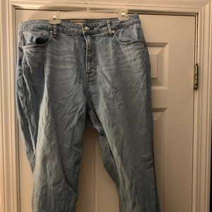 Everlane Curvy Cheeky Jean Size 34 Sky Blue Wash